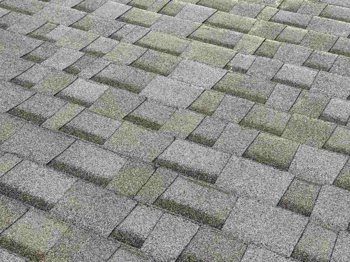 Close view of a gray architectural shingle field with granule texture and staggered courses